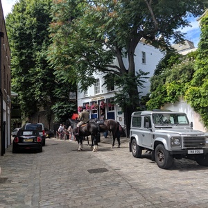 IMG_20190705_083100.jpg